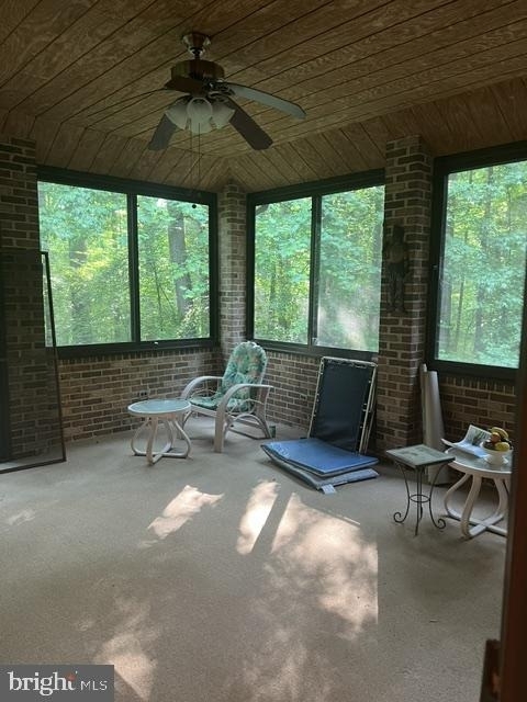1007 Lee Jackson Drive - Photo 19