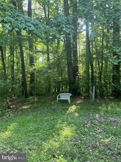 1007 Lee Jackson Drive - Photo 25