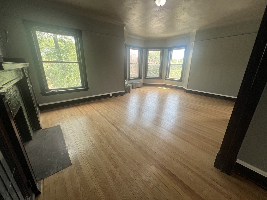 4958 S Michigan Avenue - Photo 2