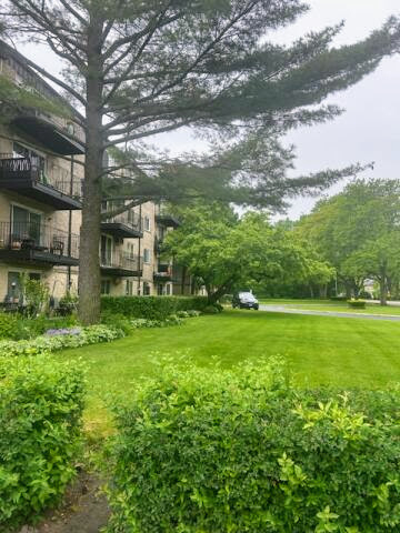 2515 E Olive Street - Photo 22