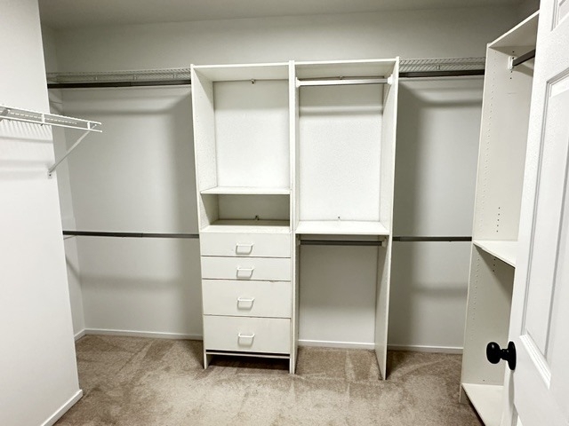 2343 Hamilton Place - Photo 13