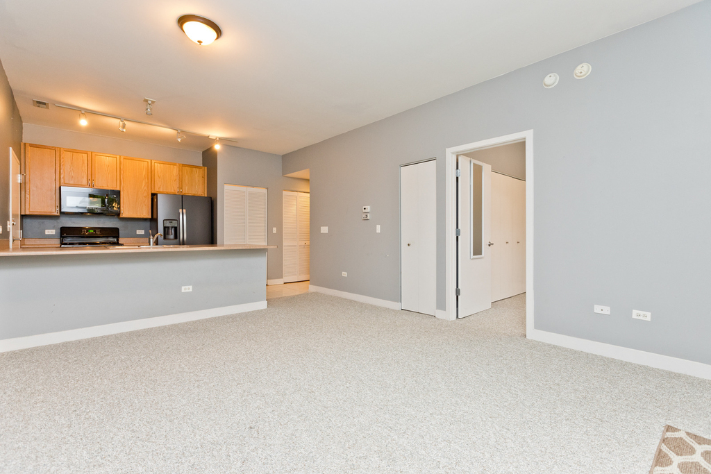 1515 S Halsted Street - Photo 4