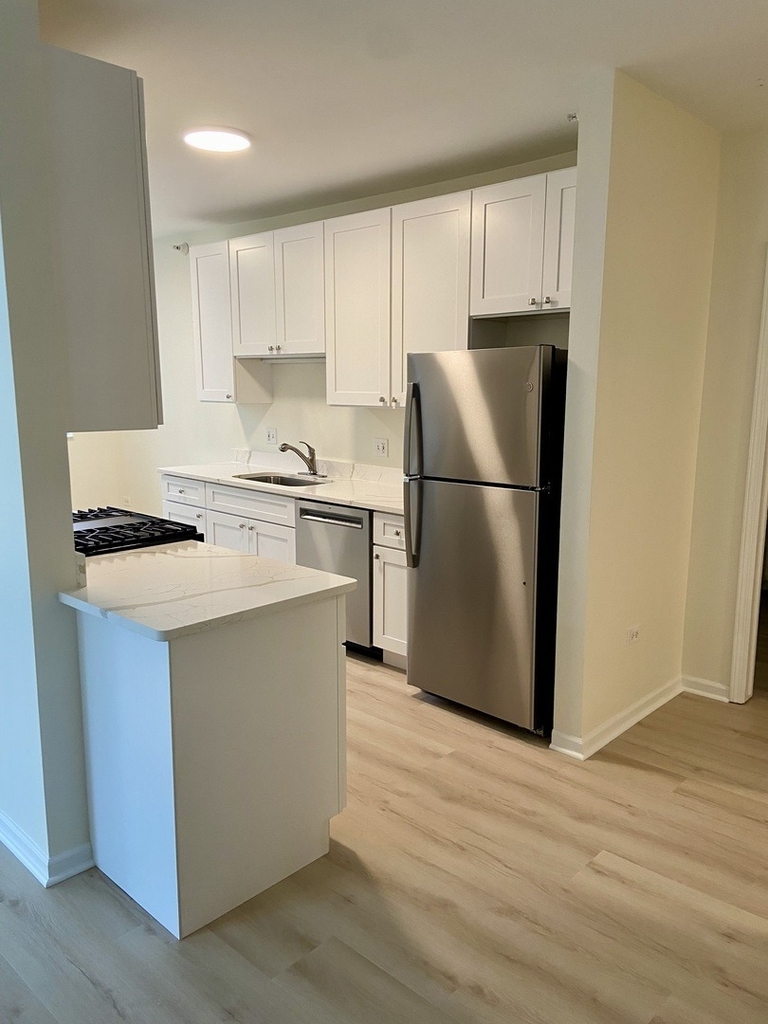 600 N Dearborn Street - Photo 1