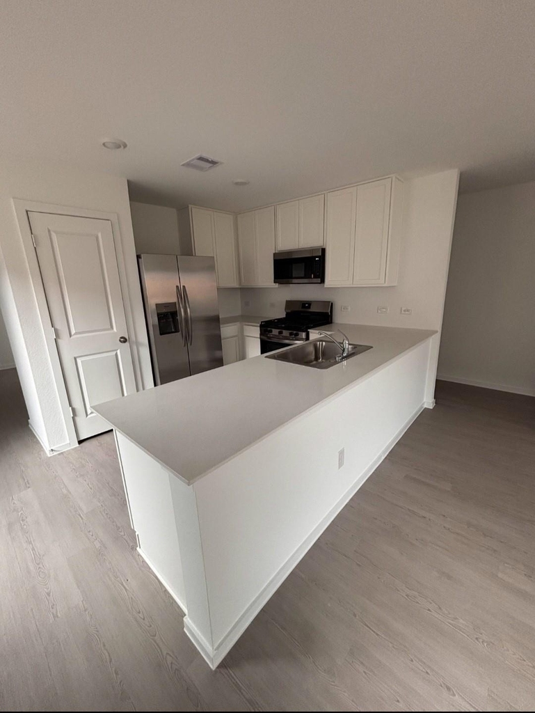 26839 Vanilla Pearls Lane - Photo 2