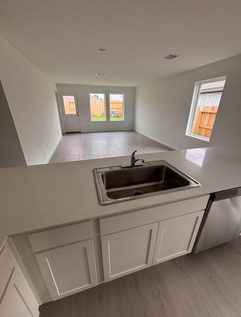 26839 Vanilla Pearls Lane - Photo 3
