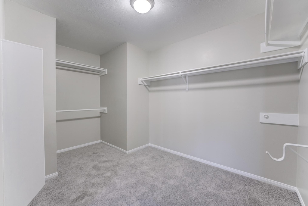 12415 Silversmine Drive - Photo 26