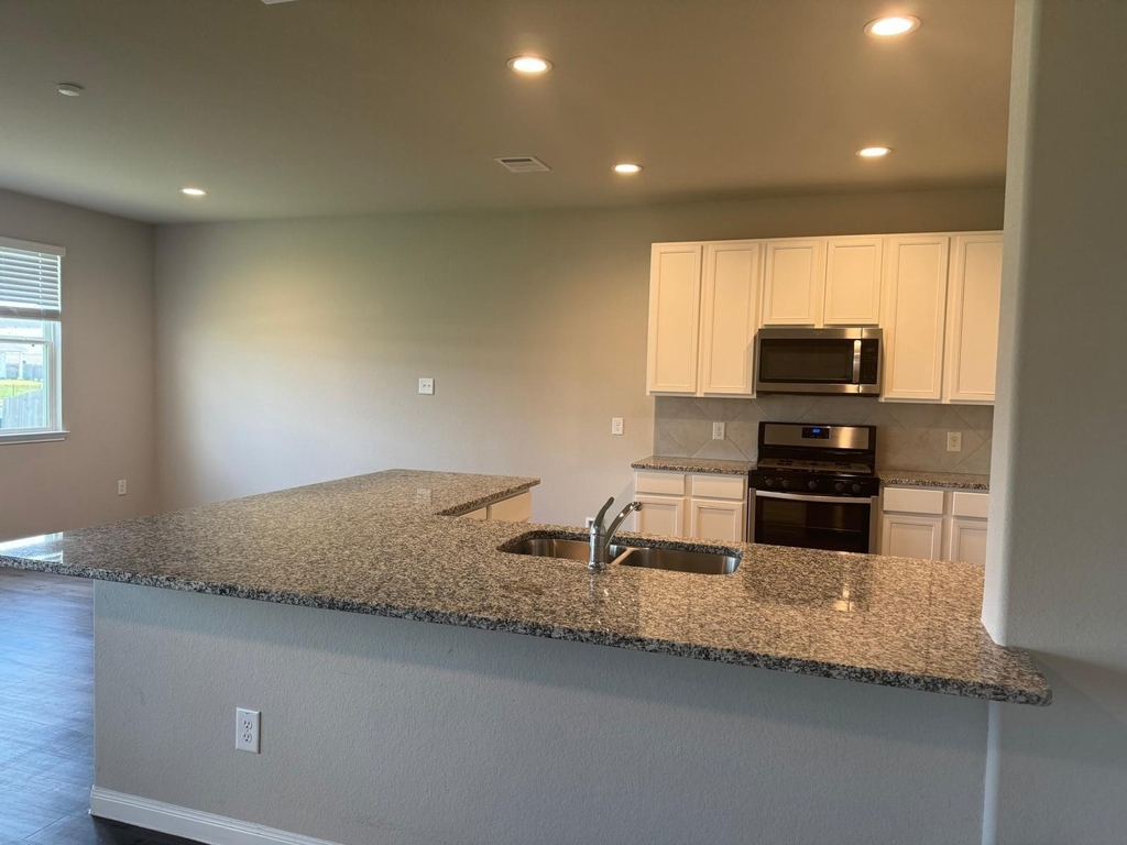 24634 Bastiani Canvas Lane - Photo 6