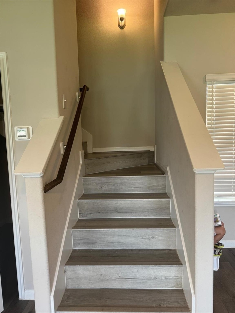 24634 Bastiani Canvas Lane - Photo 9