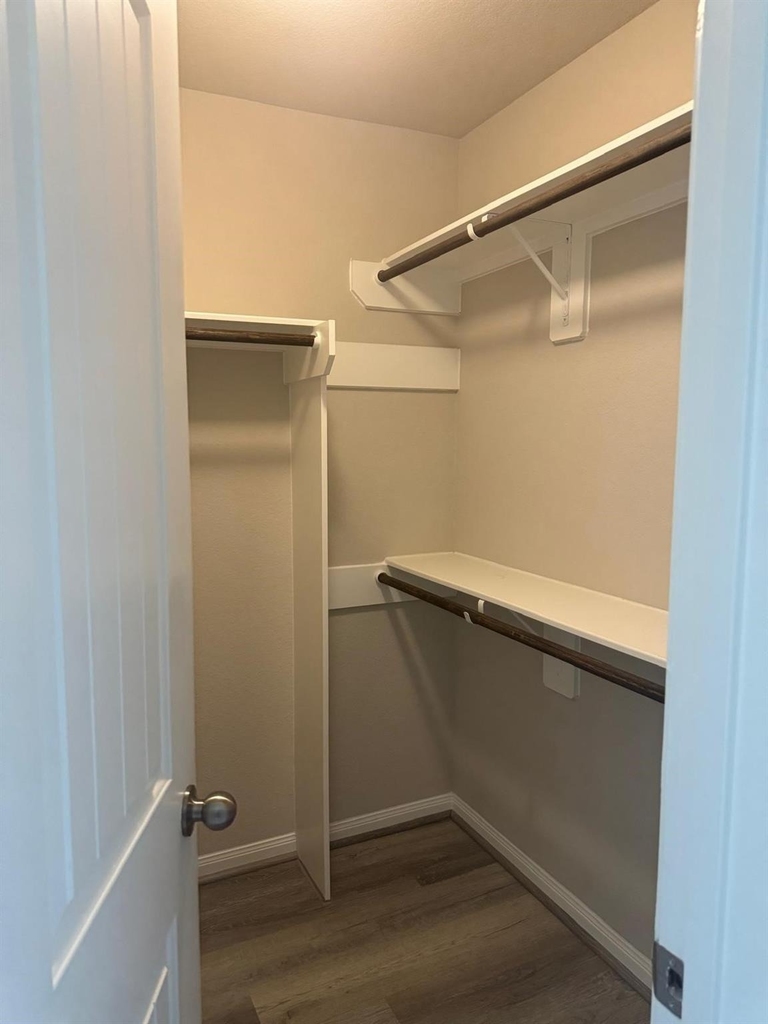 24634 Bastiani Canvas Lane - Photo 13