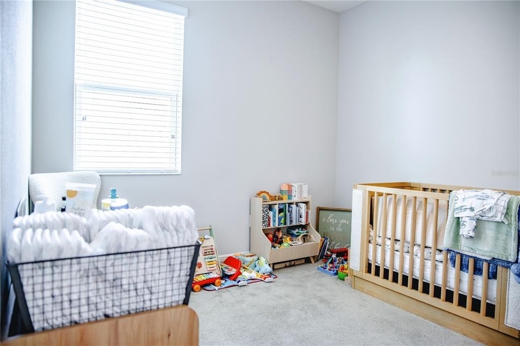 10452 Laguna Plains Drive - Photo 4