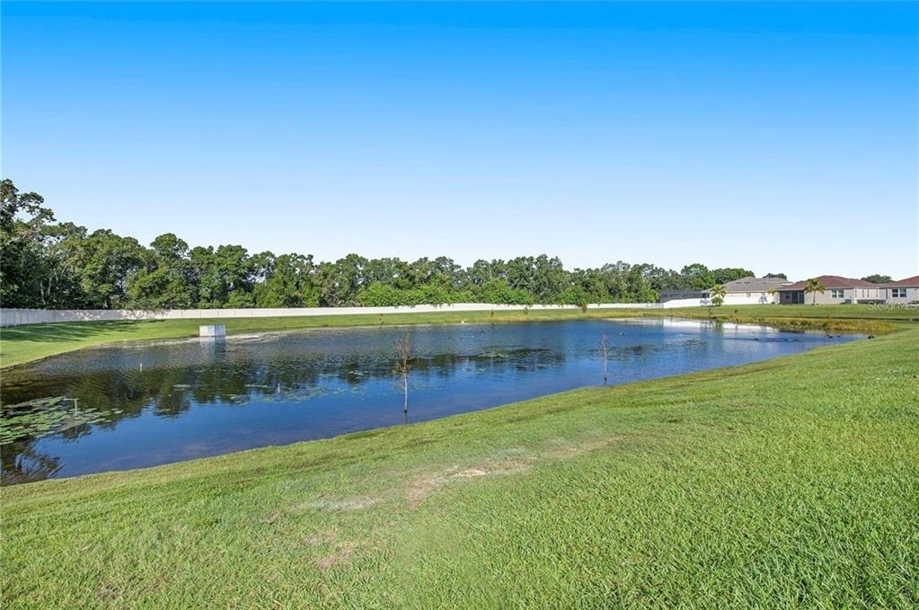 10452 Laguna Plains Drive - Photo 19