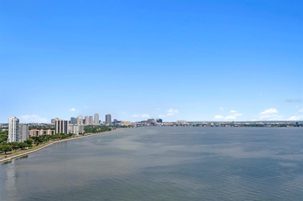 3301 Bayshore Boulevard - Photo 41