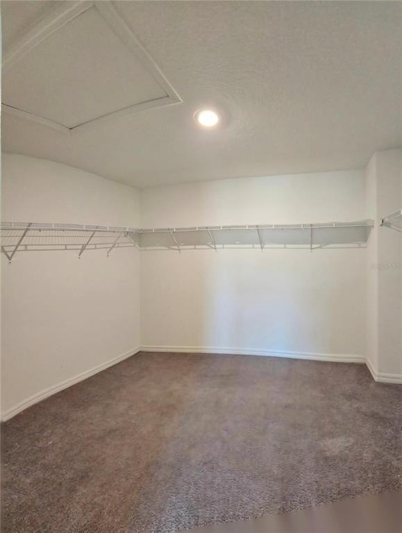165 Rain Berry Avenue - Photo 19