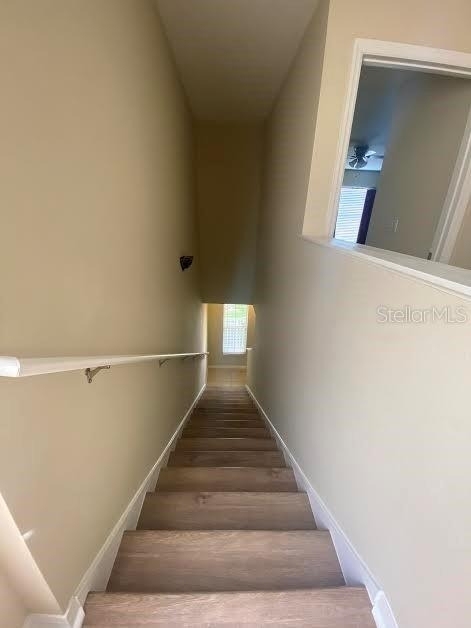 3399 Caruso Place - Photo 9
