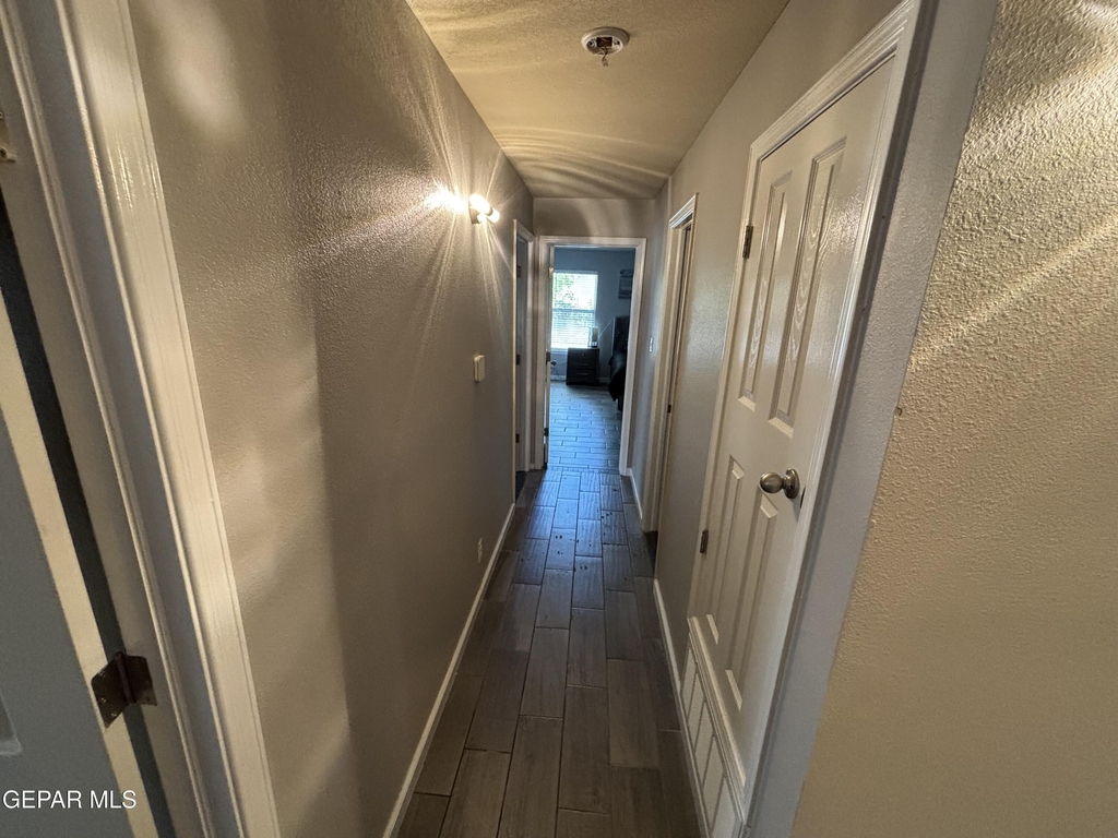 11008 Cattle Ranch Street - Photo 12