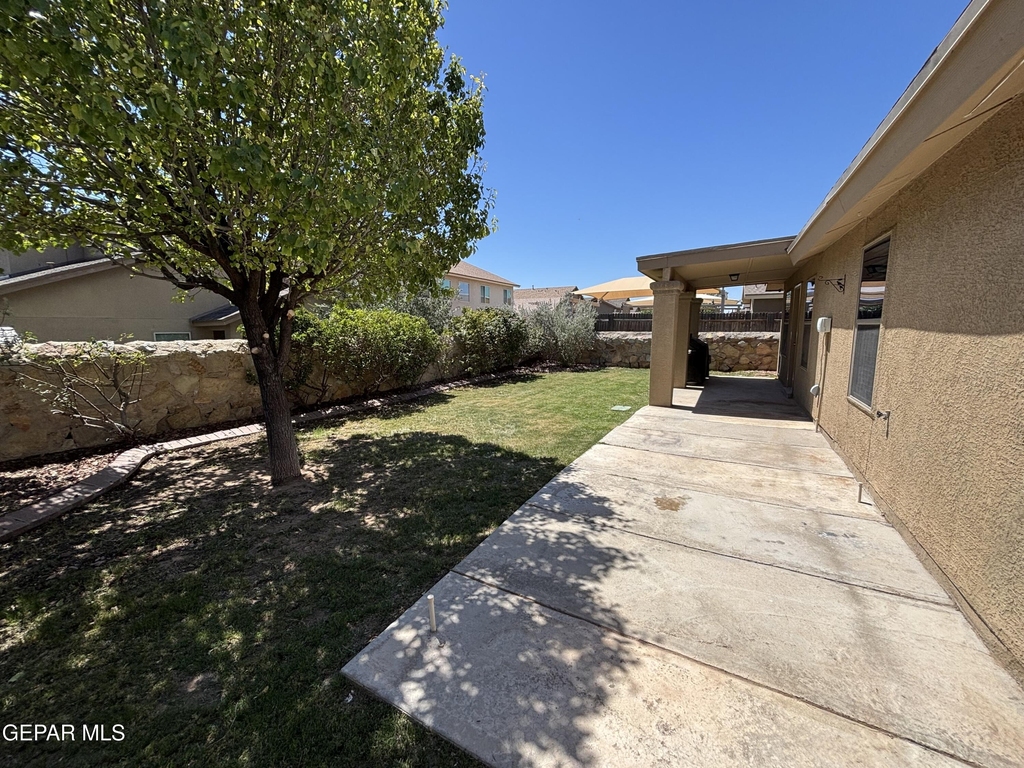 11008 Cattle Ranch Street - Photo 3