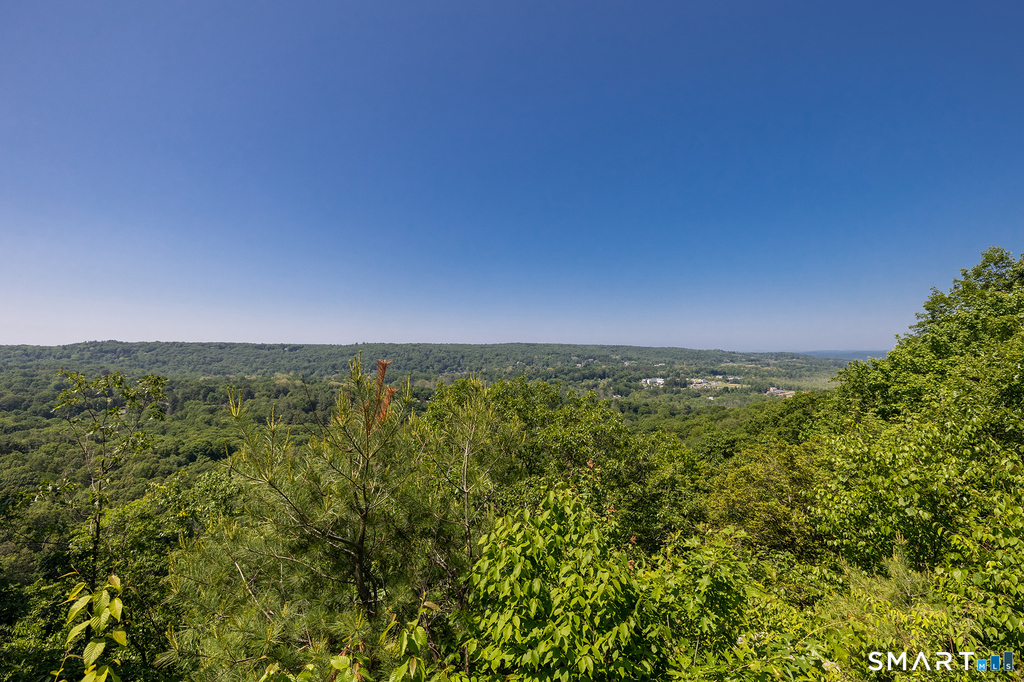 79 Seth Low Mountain Road - Photo 2