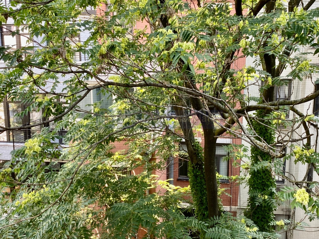 309 West 107th Street - Photo 8