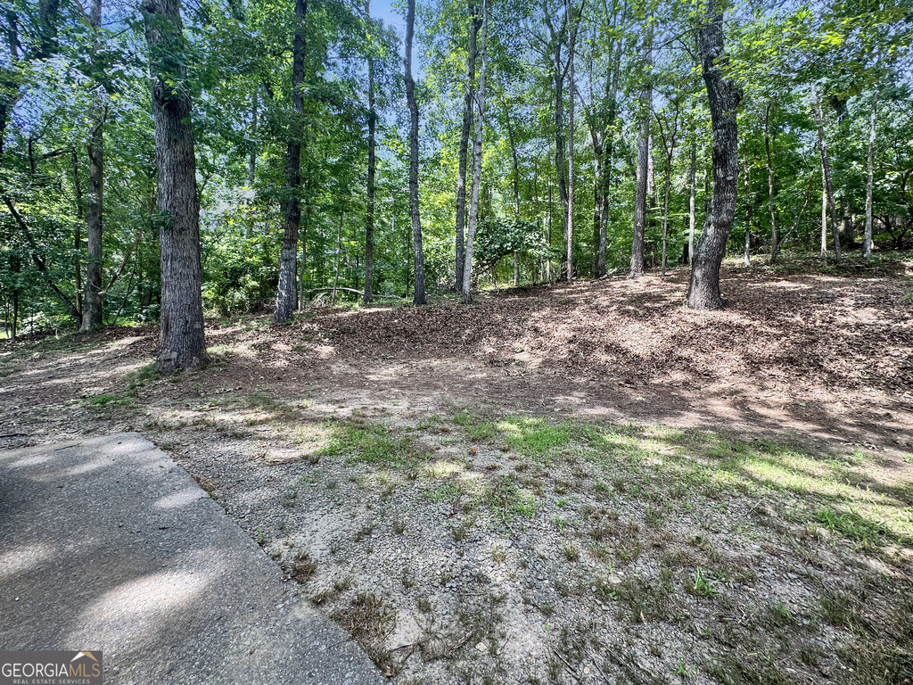 608 Silver Trace Court - Photo 19