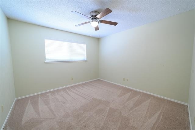 111 Sunview Street - Photo 21