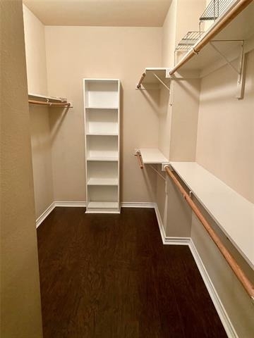 300 Rain Tree Drive - Photo 7