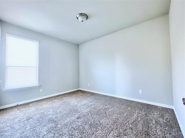 10036 Bodega Bay Road - Photo 28