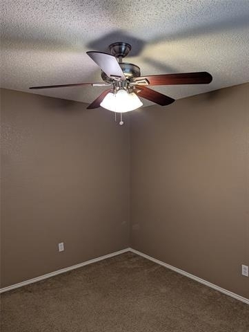 700 Flamingo Drive - Photo 11