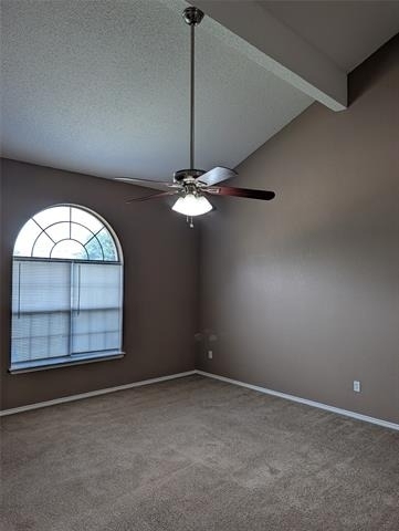 700 Flamingo Drive - Photo 4