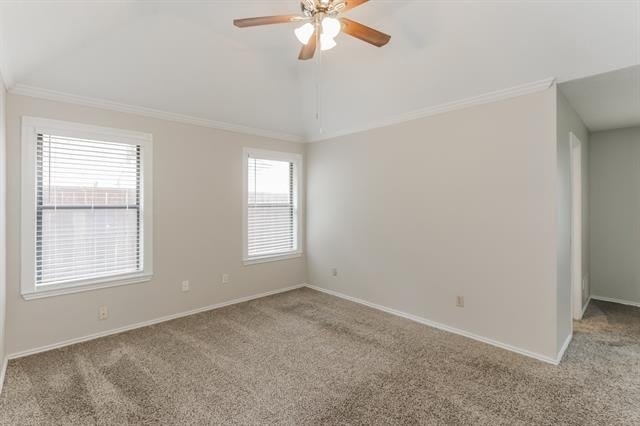 1008 Micarta Drive - Photo 9