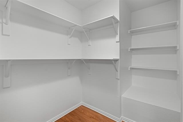 10323 Budtime Lane - Photo 16