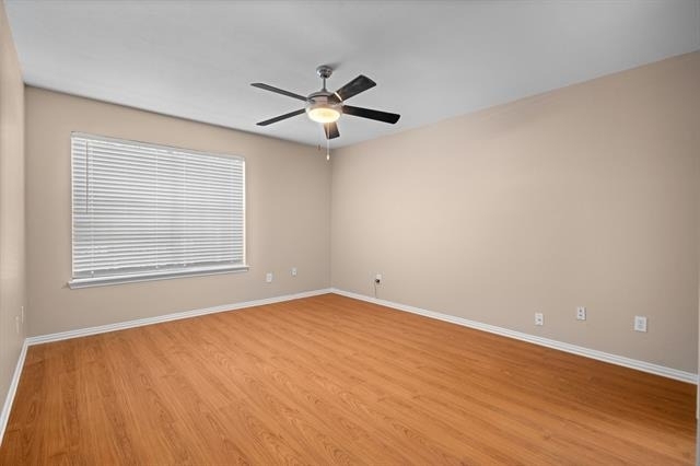 10323 Budtime Lane - Photo 12