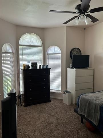 5005 Shadowood Trail - Photo 20