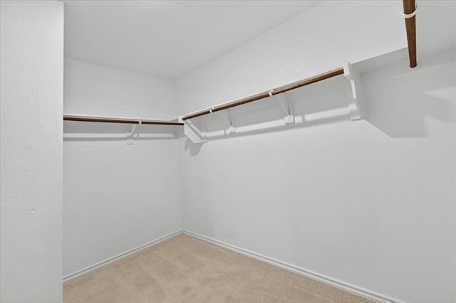 800 Windmill Street - Photo 11