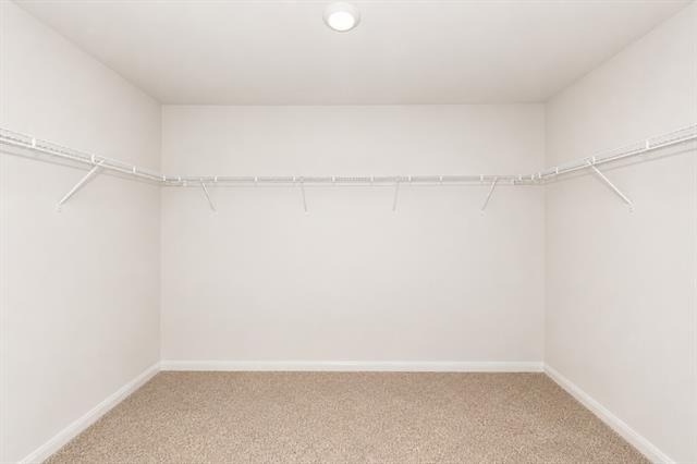 104 Bovine Drive - Photo 20