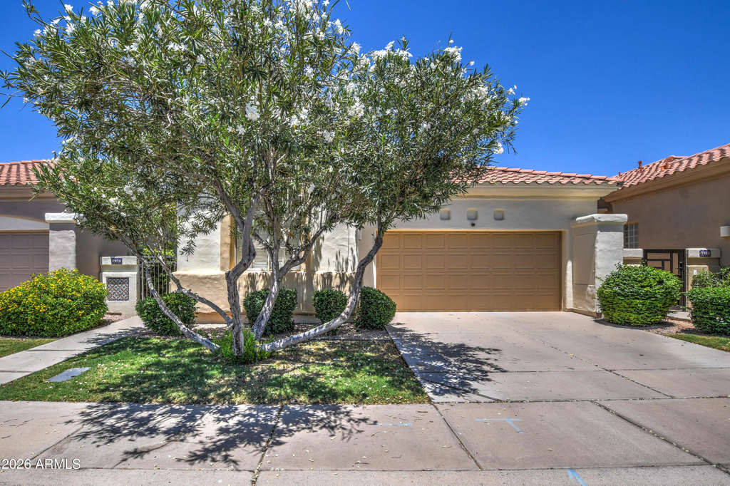 7910 E Cholla Street - Photo 2