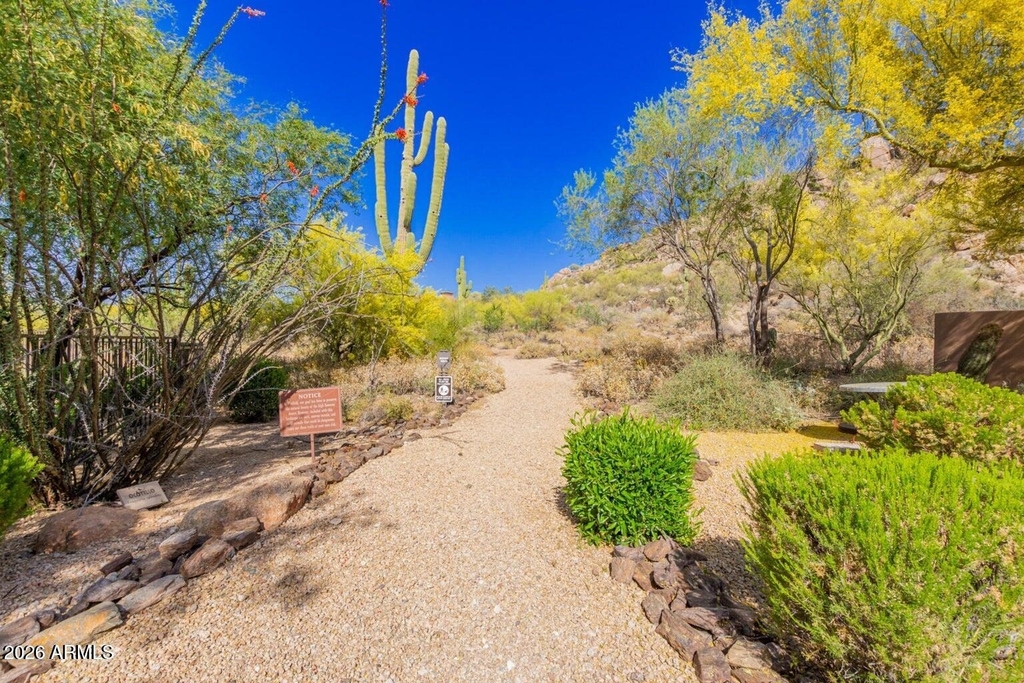 33655 N 78th Place - Photo 47