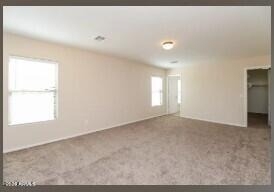 7811 S 63rd Drive - Photo 10
