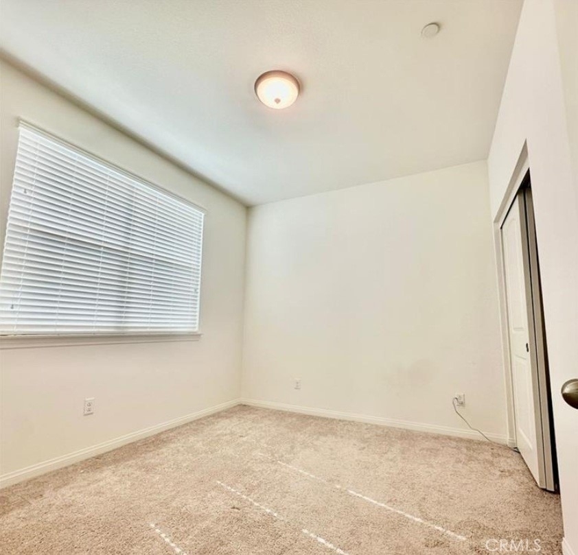 7817 Paxton - Photo 11