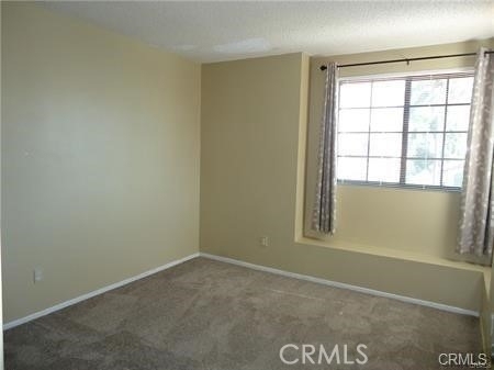 30538 Laramie Avenue - Photo 13