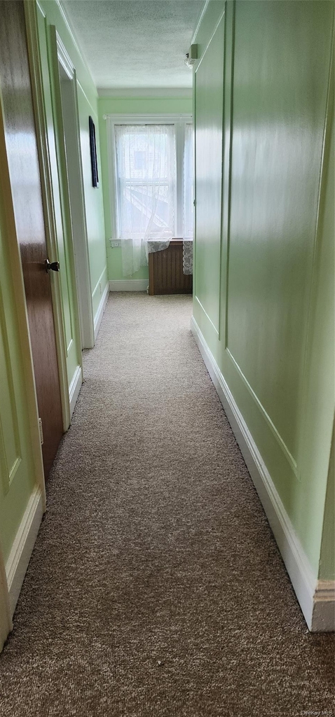 59 Bainton Street - Photo 4