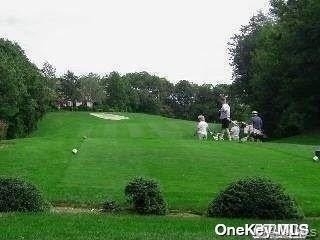 79 Birchwood Road - Photo 23