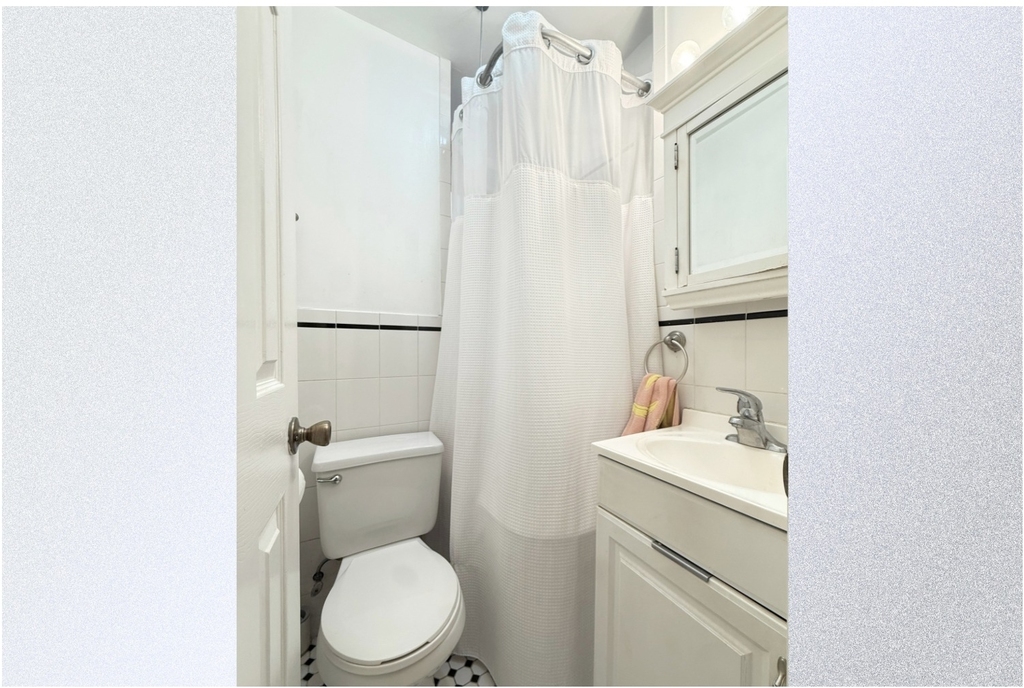 509 E 77th Street - Photo 4