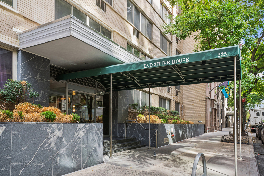 225 E 46th Street - Photo 3