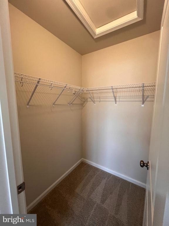 349 Short Branch Drive - Photo 15