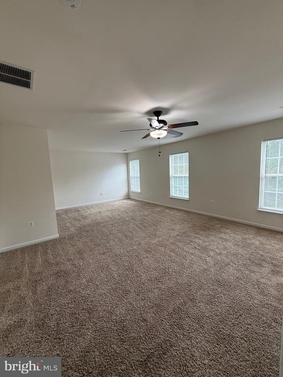 108 Davidson Street - Photo 17