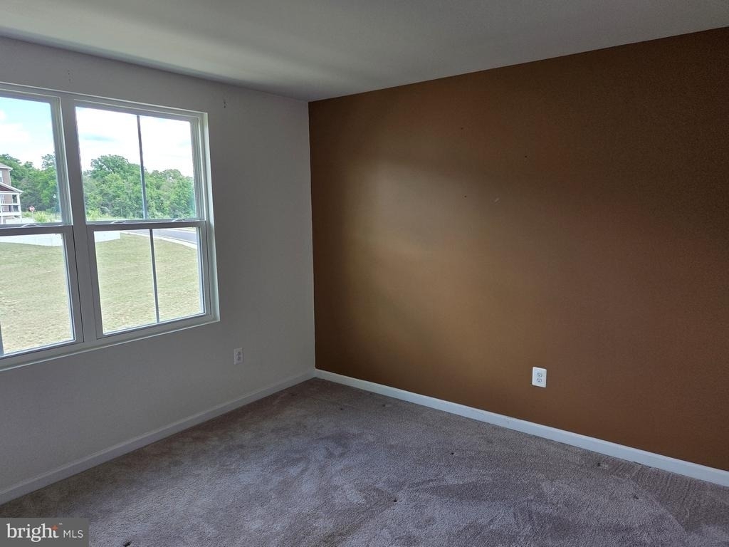 102 Spring Place - Photo 11