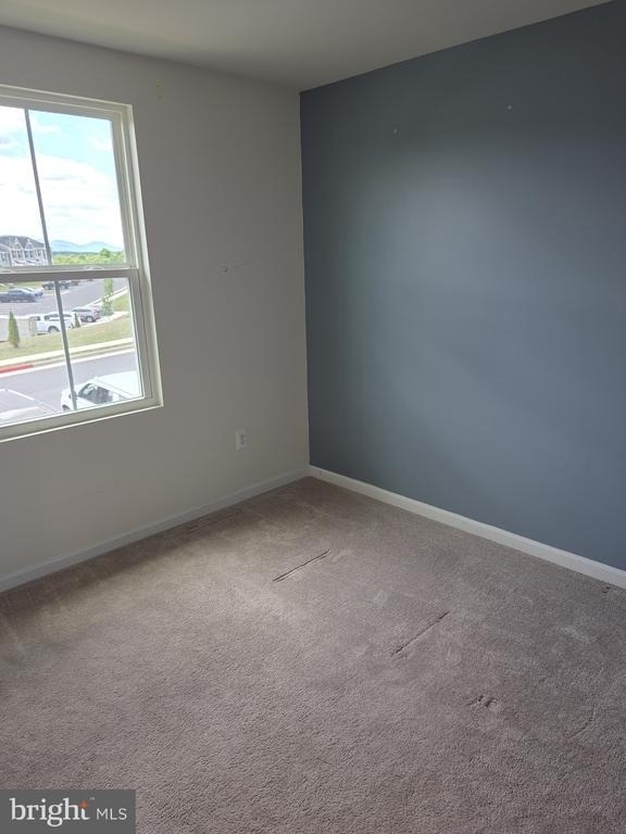 102 Spring Place - Photo 16