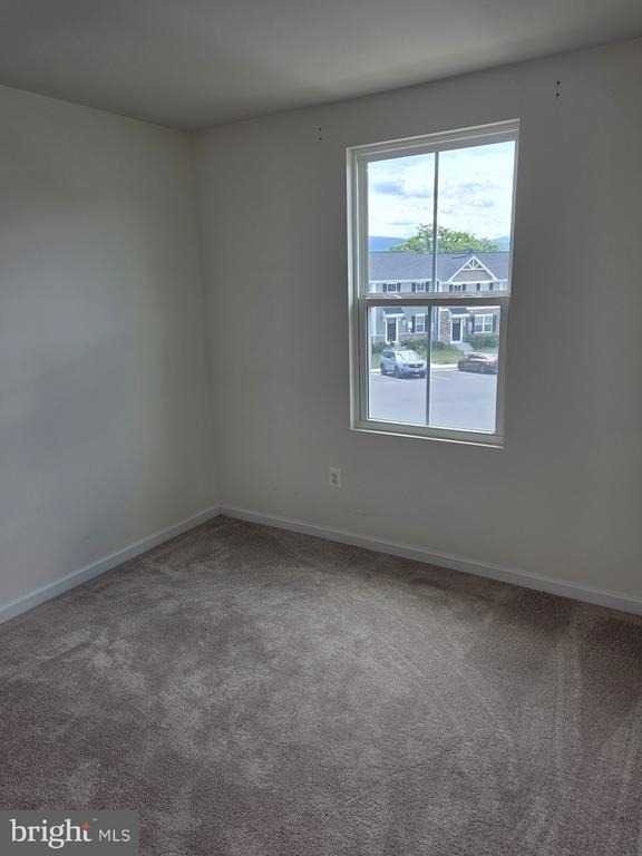 102 Spring Place - Photo 15