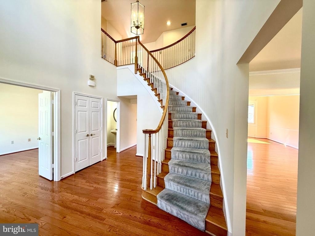 10006 Manor Place - Photo 1