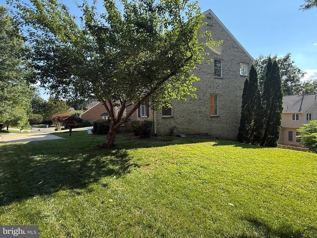 10006 Manor Place - Photo 7